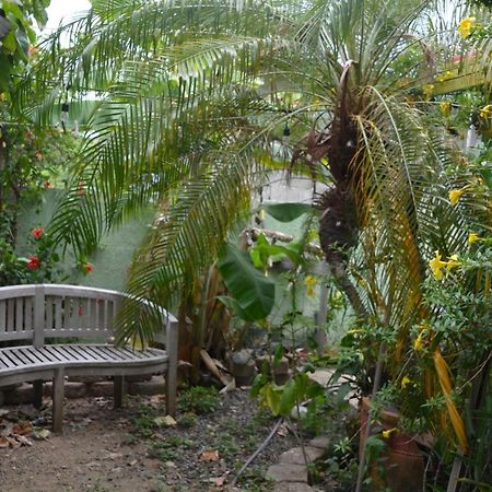 Palmetto Guesthouse Isla Culebra Екстериор снимка