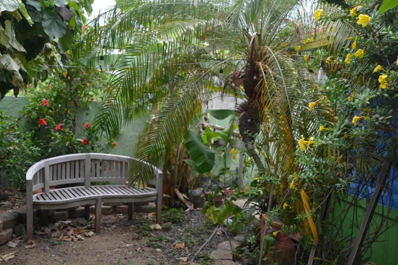 Palmetto Guesthouse Isla Culebra Екстериор снимка