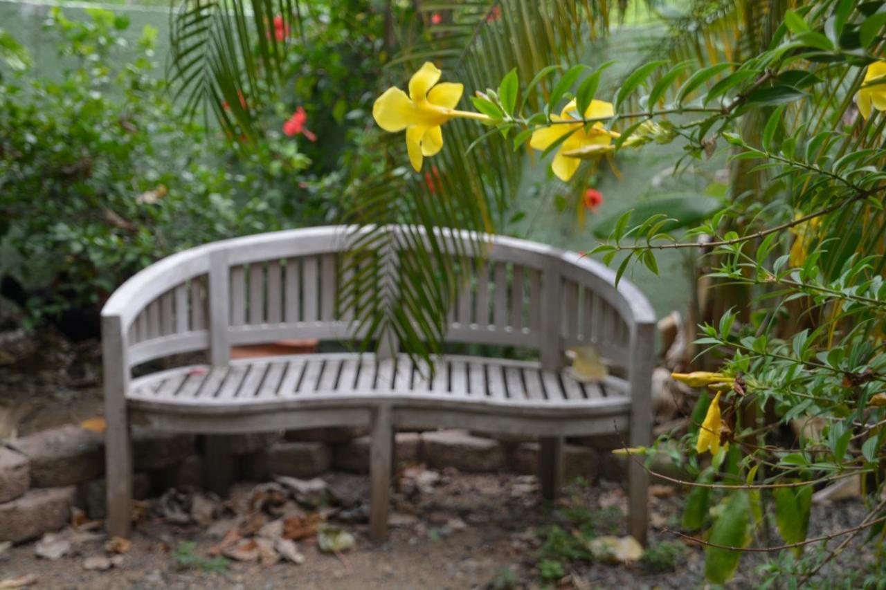 Palmetto Guesthouse Isla Culebra Екстериор снимка