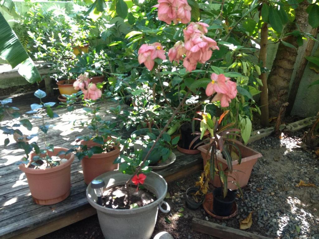 Palmetto Guesthouse Isla Culebra Екстериор снимка